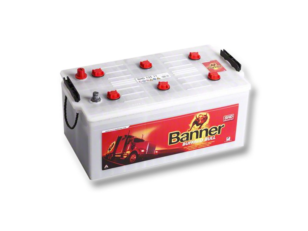 Autobateria Banner Buffalo Bull 72511, 225Ah, 12V